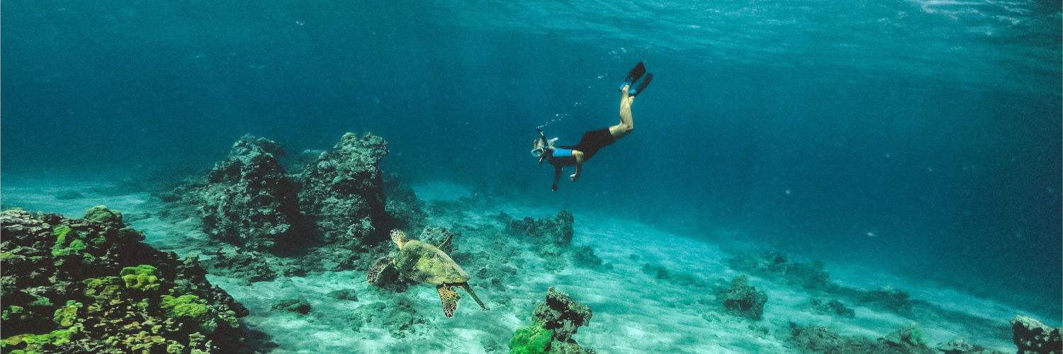 Snorkeling Kauai vs Maui
