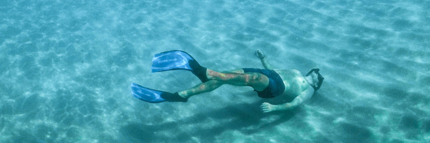 Snorkeling vs Freediving